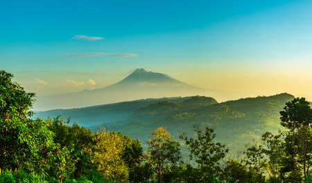 Mountain Landscape Scene Panorama with grass tree and sky backgroundの写真素材