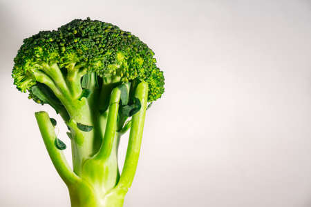 Green Organic Brocolli vegetable on left side on white backgroundの写真素材