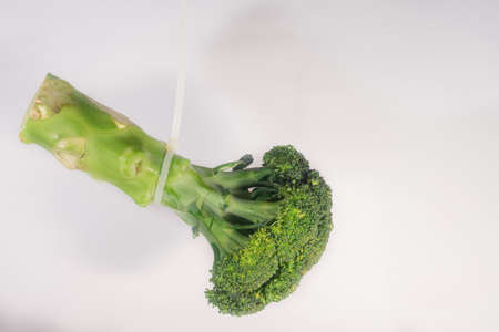 Hanging Bounded Green Brocolly by rope on White Background