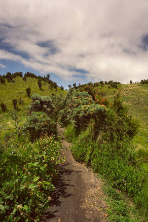 Mountain landscape with grass tree and sky backgroundの写真素材