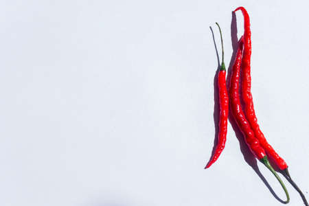 Red Chili Paper on White Backgroundの写真素材
