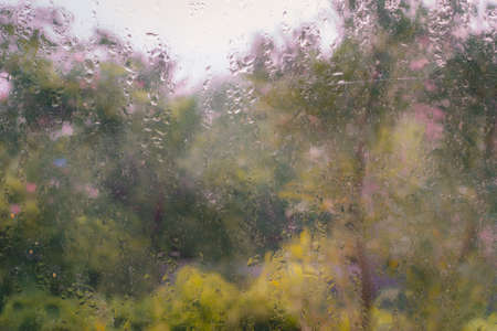 Wet Rainy Windows with Yellow Tree Backgroundの写真素材