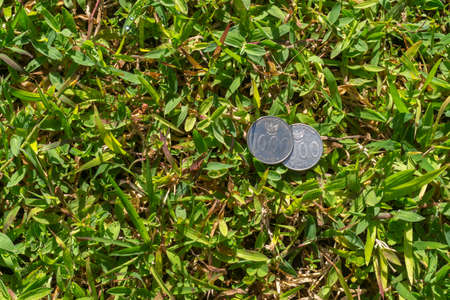 Two Thousand Rupiah coin money on green grassの写真素材