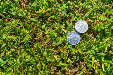 Couple five hundred Rupiah coin money on green grassの写真素材
