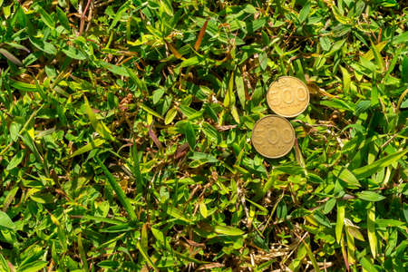 Couple five hundred Rupiah coin money on green grass