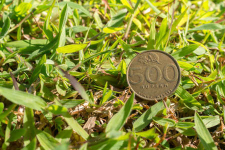 Single five hundred Rupiah coin money on green grassの写真素材