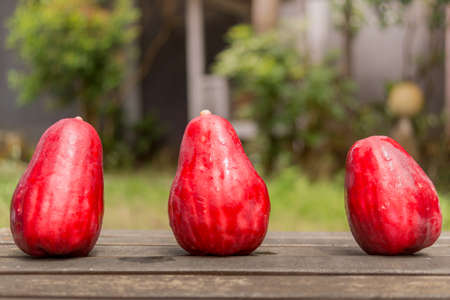 Three Jambu Guava on Wood Ground in Gardenの写真素材