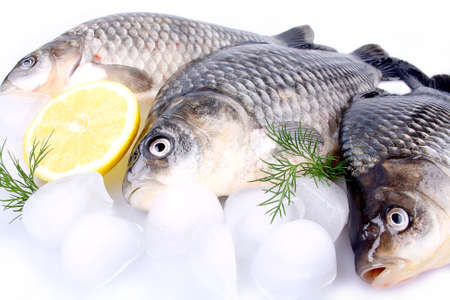 Fresh fish carp on a white background with ice and lemon