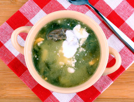 Green soup with egg, meat and cream, top viewの写真素材