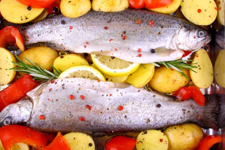 Two marinated rainbow trout with potato, red pepper and lemon, top view