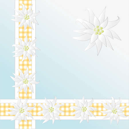 Decorative checkered pattern with Edelweiss のイラスト素材