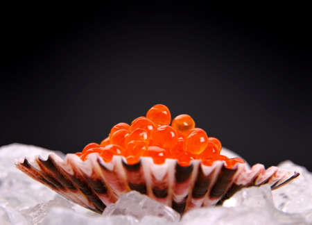 Big shell filled with red caviar on ice, close upの写真素材