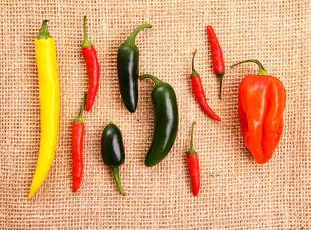 Hot peppers collectionの写真素材