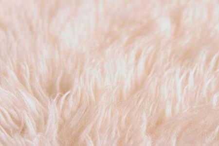 White lambskin as background, close upの写真素材