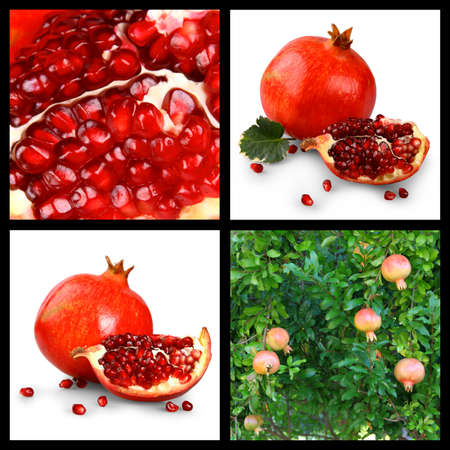 Collage of pomegranates, pomegranate tree and grains, close upの写真素材
