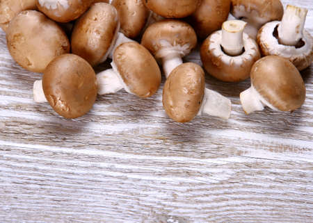 Brown mushroom on white wood background, close upの写真素材