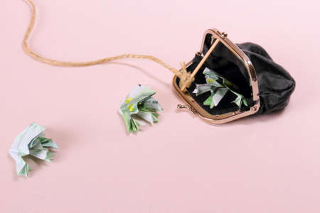 Three toads of one hundred catch with purse, top view