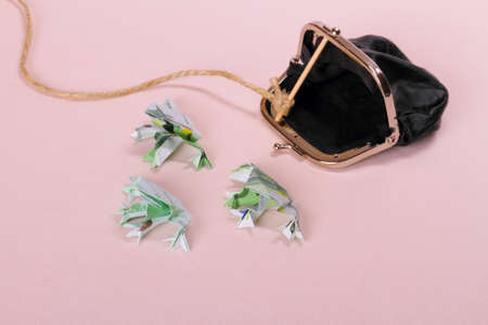 Financial concept - frog from euro banknote, top viewの写真素材