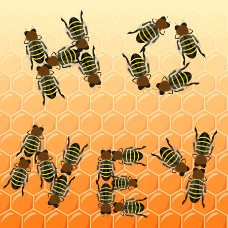 Fleet bees as text on honeycomb, top view, vectorのイラスト素材