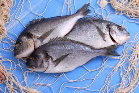 Three bream in fishing net on blue wooden background, top view