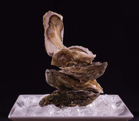 Four oyster shell on ice as balance stack black backgroundの写真素材