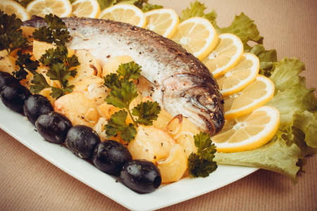 Grilled trout with olive, potato and vegetables, retro tonedの写真素材
