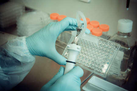 Laboratory technician working with multiwell pipette, soft focus, top viewの写真素材