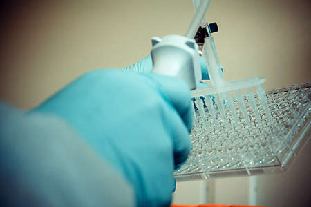 Laboratory technician working with multiwell pipette, soft focus, close upの写真素材