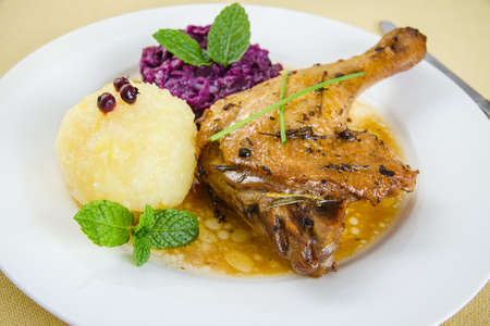 Duck leg, potato dumplings, red cabbage and gravy, close upの写真素材