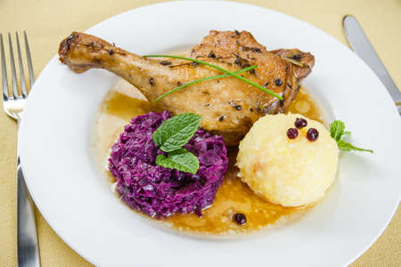 Duck leg with potato dumplings, red cabbage and gravy, top viewの写真素材