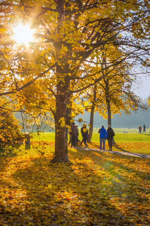 Autumn in park people walking, blurred as backgrundの写真素材