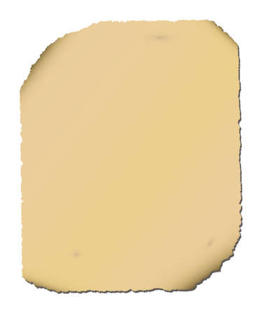 Antique scroll on whiteのイラスト素材