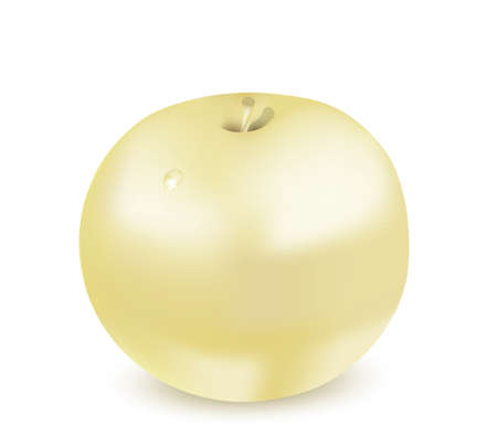 Gold appleのイラスト素材