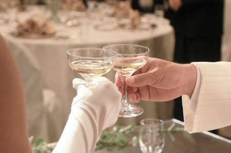 Toast ceremony by the bride and groom at the wedding reception