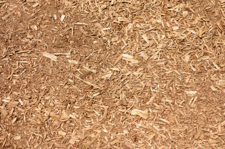 Wood waste utilization of cushion, cushion