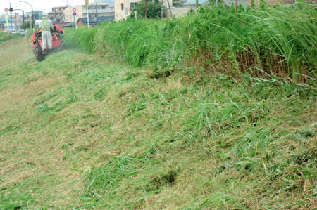 Mowing traces of the banks of the riverの写真素材
