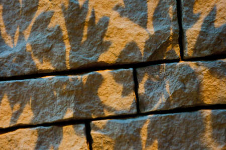 The walls of the interior tone