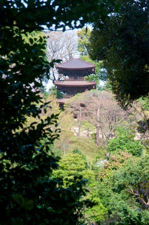 The appearance of a mountain-deep triple towerの写真素材