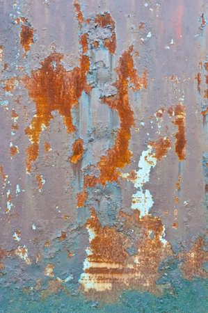 Close-up of texture