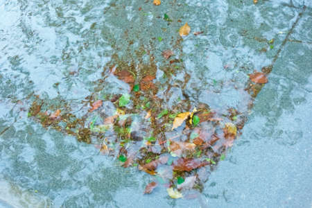 Fallen leaves scraped by waterの写真素材