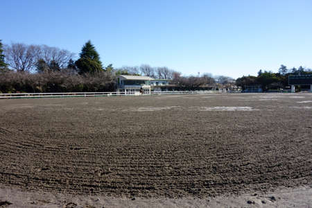 Muddy soil pattern on horse stadiumの写真素材
