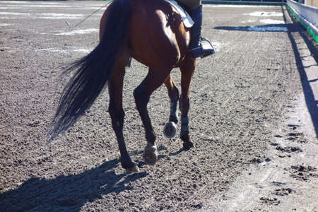 Baba riding pattern at Baba Parkの写真素材