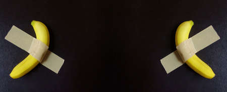 Symmetry, a delicious looking amazing banana taped to the wallの写真素材