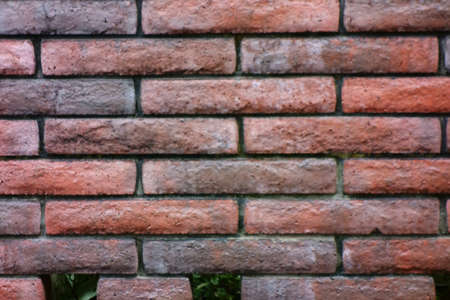 Red brick wall background, texture, copy spaceの写真素材
