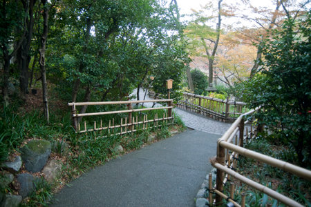 Beautiful autumn scenery with garden patterns, trees and ponds on a vast siteの写真素材