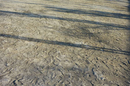 Texture pattern of sand with traces of dirt and dirtの写真素材