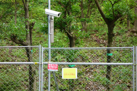 Surveillance cameras, security measures tools inside the fence, cctv cameras on the streetの写真素材