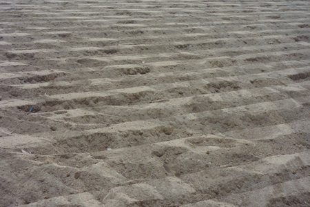 Sandy desert dune pattern with undulating wet soilの写真素材