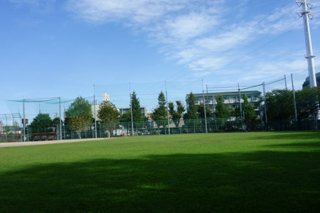 Refreshing midsummer green lawn, blue sky and field fieldの写真素材