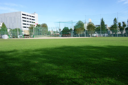 Refreshing midsummer green lawn, blue sky and field fieldの写真素材